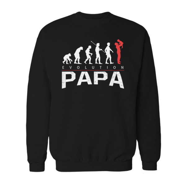 Evolution Papa - Herren Sweatshirt