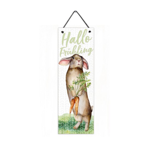 Hallo Frühling Hase - 10 x 30 cm Holzschild 8 mm